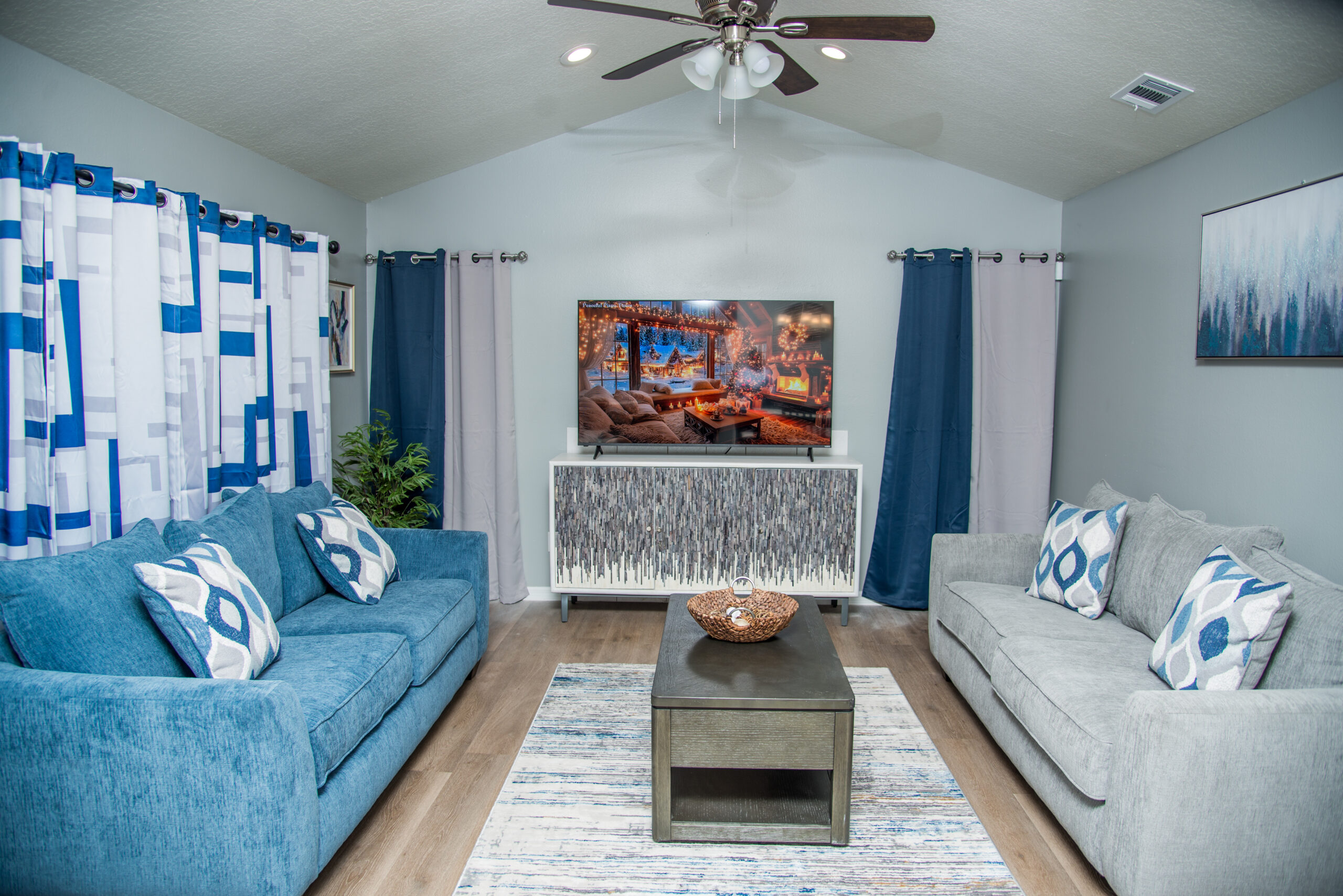 Living room with sleeper sofa