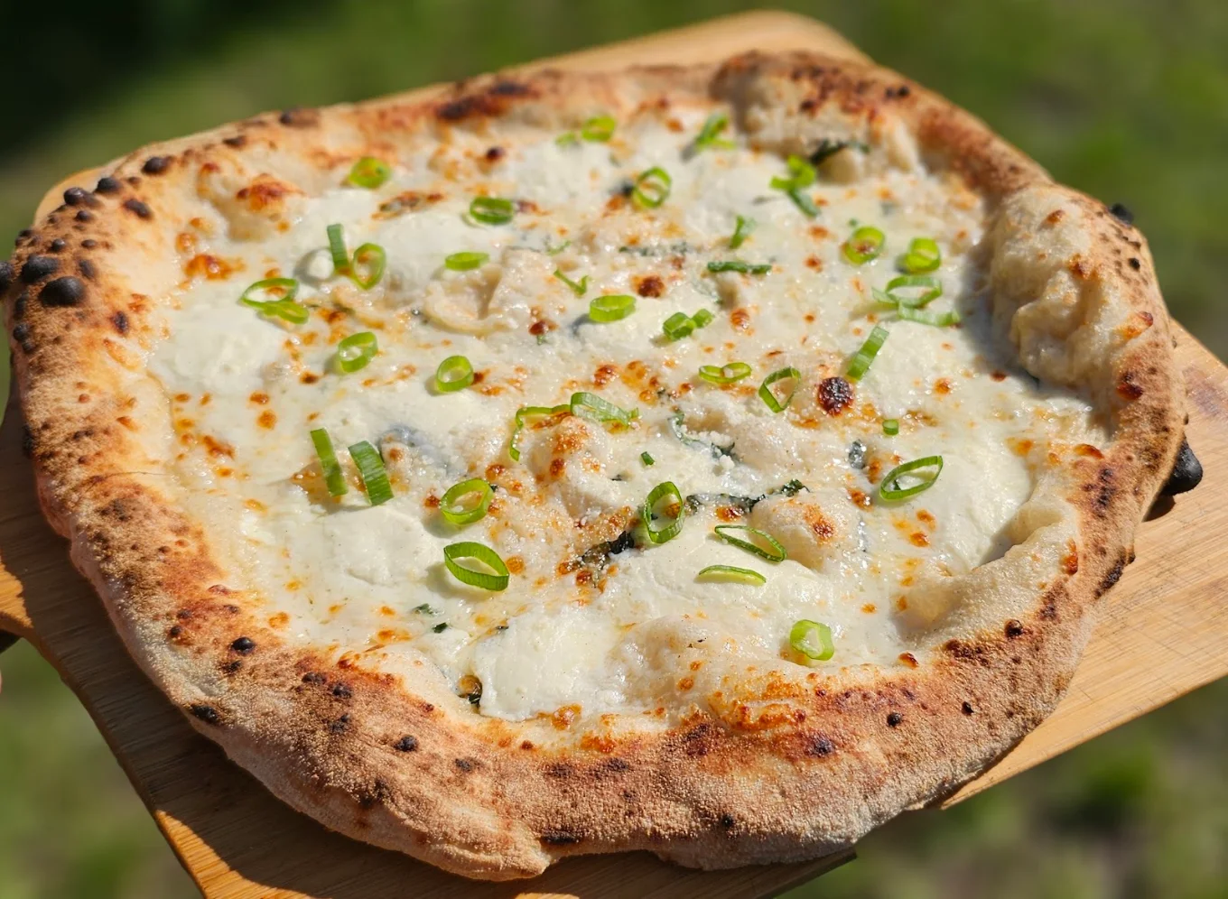 Pizza Culture